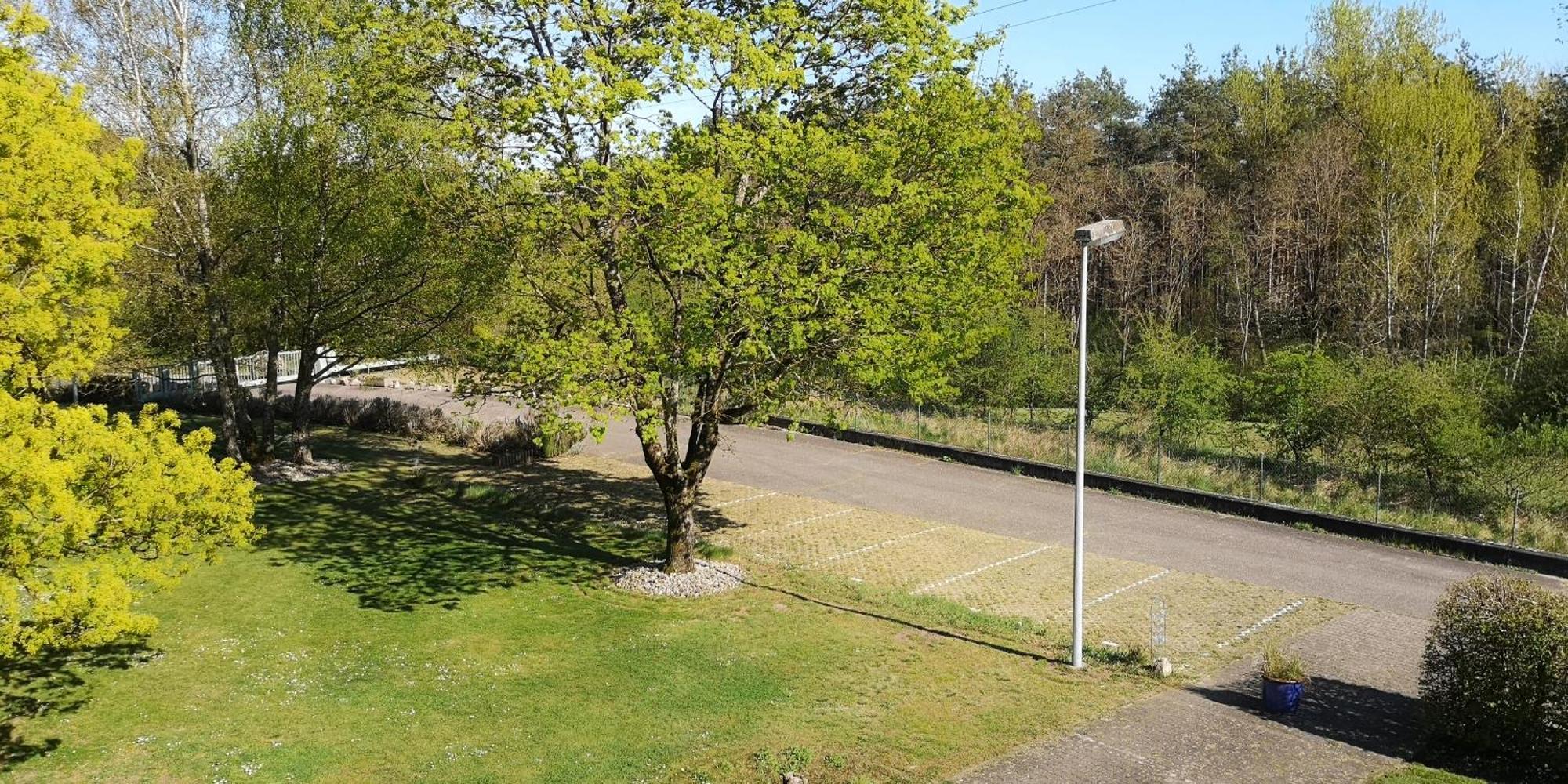 Niederwald Leilighet Iffezheim Eksteriør bilde